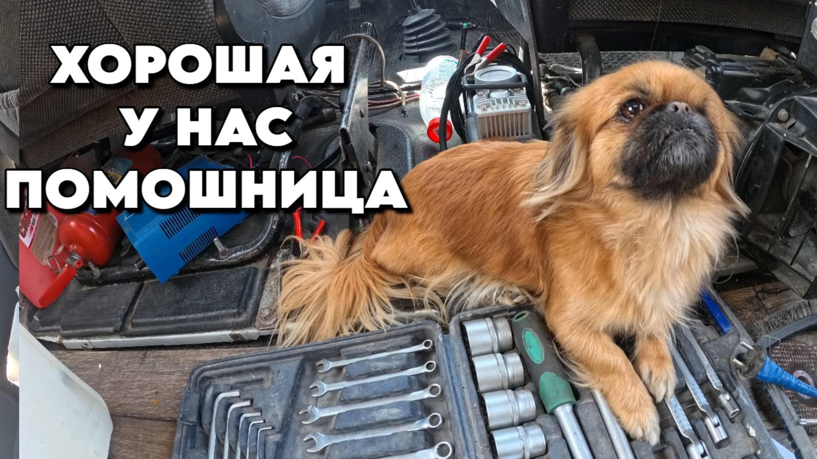 883 Наш южный сад/Сделал диван в Соболь/Посадили перец/Переезд на юг смотреть онлайн