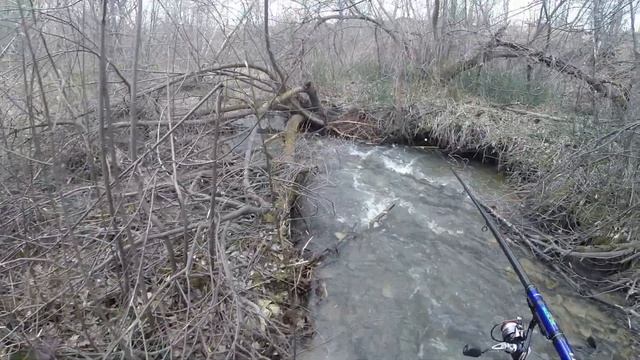 ХАРИУСЫ ИДУТ НА НЕРЕСТ Вижу ТАКОЕ Впервые! Ловлю САЧКОМ рыбу и отпускаю! Рыбалка на Хариуса в Мае!