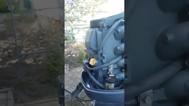 VID-20250419-WA0000 смотреть онлайн