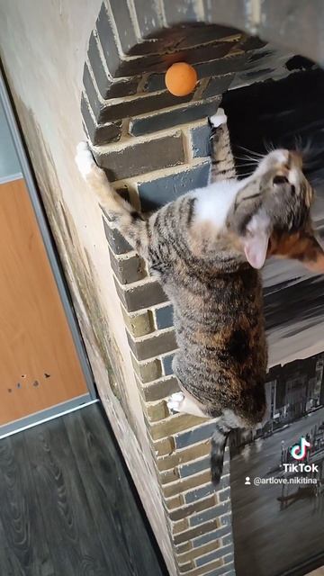 если хочешь,чтобы получалось.... Никитина Алина. кошка Алиска❤️ смотреть онлайн