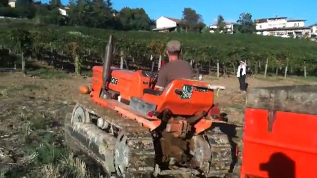 Италия - Сбор винограда... смотреть онлайн