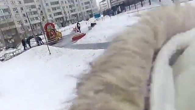 Как древний человек вытаскивает палку из земли.))) смотреть онлайн