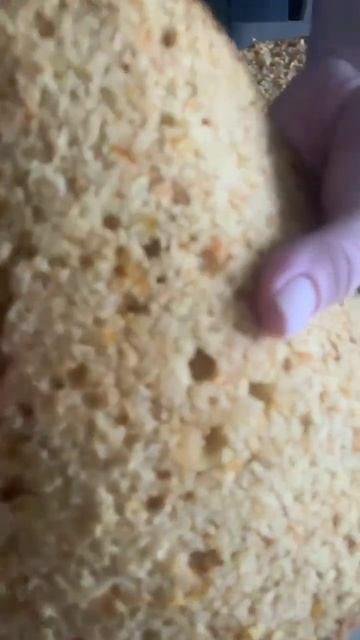 морковный бисквит