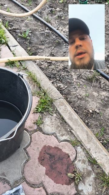 Обработка черенков от болезней и вредителей 💪 смотреть онлайн