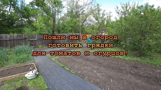 Огромная БЛАГОДАРНОСТЬ ЗРИТЕЛЯМ! Покупка корма пушистикам РАССАДА ОГУРЦОВ в пакетах!_17.05.2023 смотреть онлайн