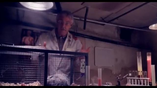 Movie Review | Attack of the Killer Donuts! смотреть онлайн