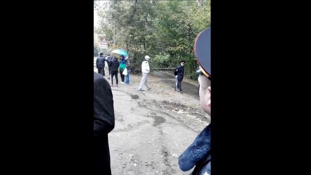 24.09.14 Жуковский МО. Утро. Вырубка леса на Нижегородской VID_20140924_085409
