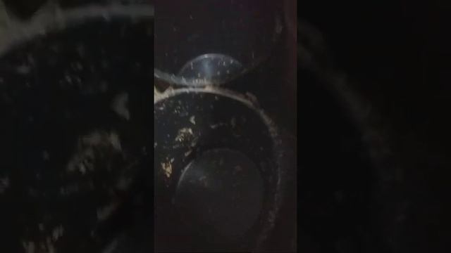 кормление кроликов смотреть онлайн