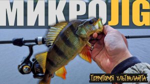 НАШЕЛ ВОДОЕМ С КРУПНЫМ ОКУНЕМ ► МИКРОДЖИГ