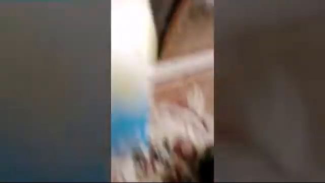 О морской свинке Рижик, и что нужно для появления смотреть онлайн