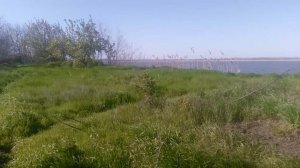 VID_20250419_163532.mp4