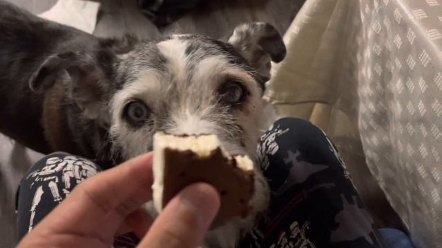 My ice cream poncho смотреть онлайн