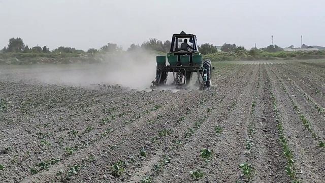 Traktor Ttz 80 Cultivation