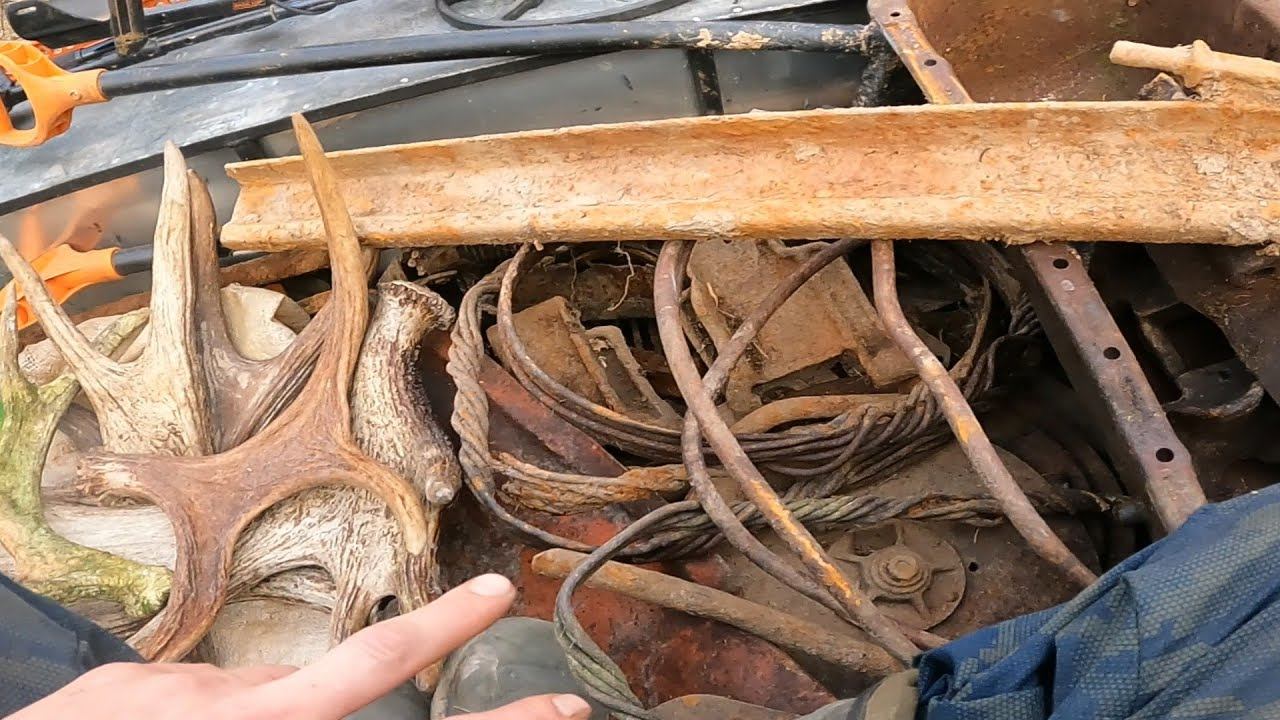 Подняли деньжат.Рога лося.Металлокоп. смотреть онлайн