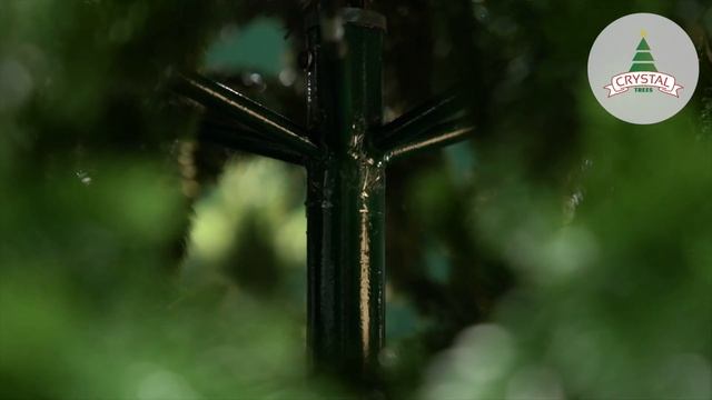Шотландия от 2,5м смотреть онлайн