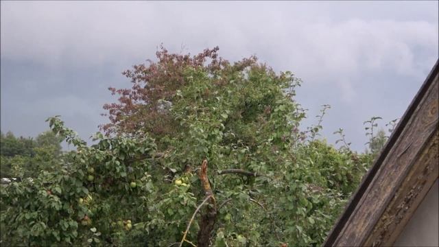 750. Нашествие птиц, буря не за горами. смотреть онлайн