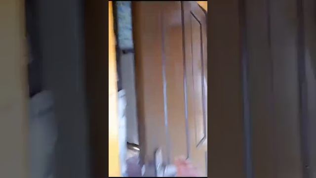 продаётся дом Огород 15 сот.Участок 18 площадь дома 44 кв.м. Общая площадь участка 1598 кв.м смотреть онлайн