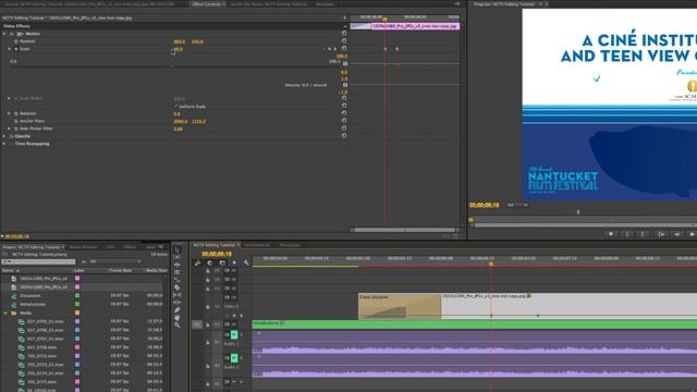 Adobe Premiere Pro CC - Editing 101: Overlaying Titles & Stills (Part 8) смотреть онлайн