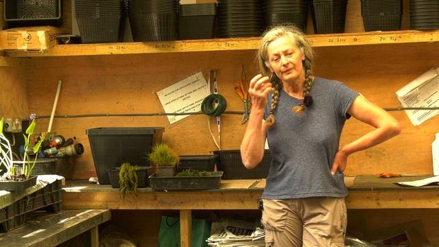 Oxygenating Pond Plants (Oxygenators) смотреть онлайн
