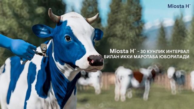 Miosta H® Yangi Retsept Bo'yicha Dori Taqdimoti.