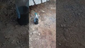 прокачка сцепления на МАНе