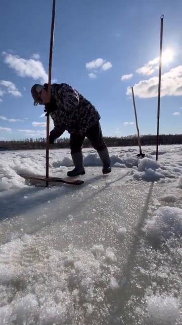 PandaSakha - #yakuttraditional #fishing #kuyuur #якутскаятрадиционная #рыбалка #куйуур #pandasakha смотреть онлайн