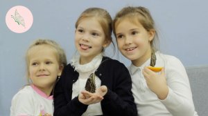 Интерактивный урок «Исследуем мир бабочек»