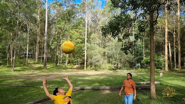 Koala Park - January '2023