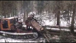 трелевка леса на тт4