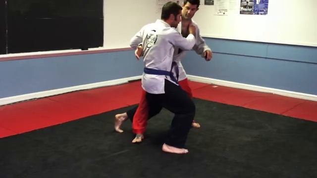 Holly BJJ Judo Technique смотреть онлайн