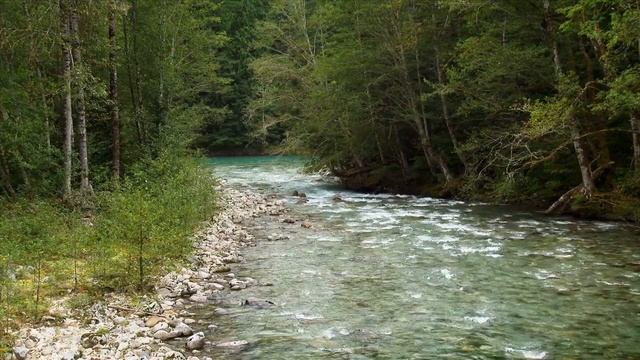 музыка для медитации    Красивая расслабляющая музыка • Спокойная фортепианная музыка 🌿 R