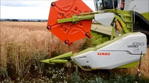 Зерноуборочный комбайн Claas LEXION 770 в работе.