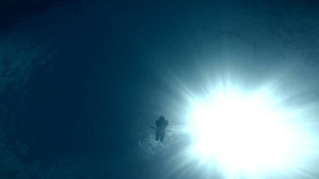 Freediving Bahamas 2015, a week aboard the 'Someday Came' смотреть онлайн