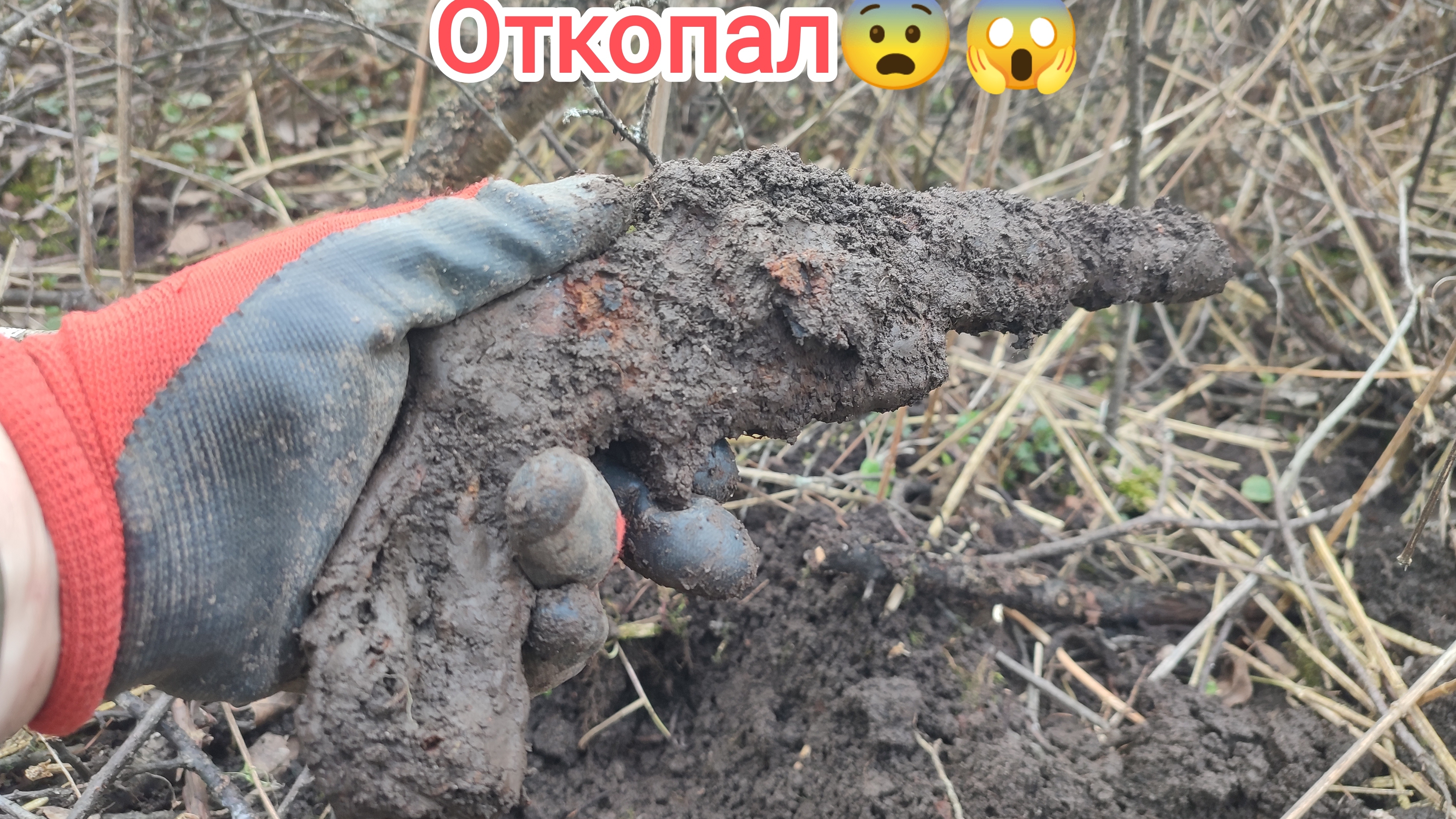 Откопал!!!И что мне с ним делать??? смотреть онлайн