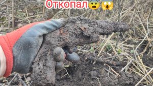 Откопал!!!И что мне с ним делать???