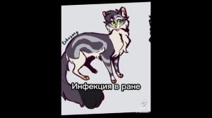 коты воители подборка из тик-тока
