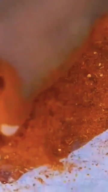 giant fish fry white rice village food cooking #villagecookingchannel #villagefoodsecret #food смотреть онлайн