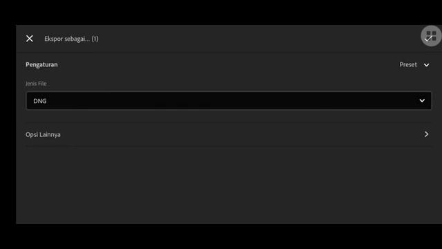 tutorial membuat preset format dng #2 смотреть онлайн