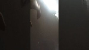 играем в стенд кайф