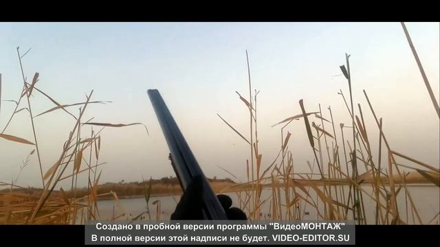 11 декабря 2021 г.