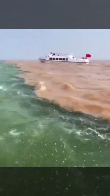 🌊 Слияние двух рек Рио-Негро и Солимойнс в штате Амазонасразилия 🇧🇷