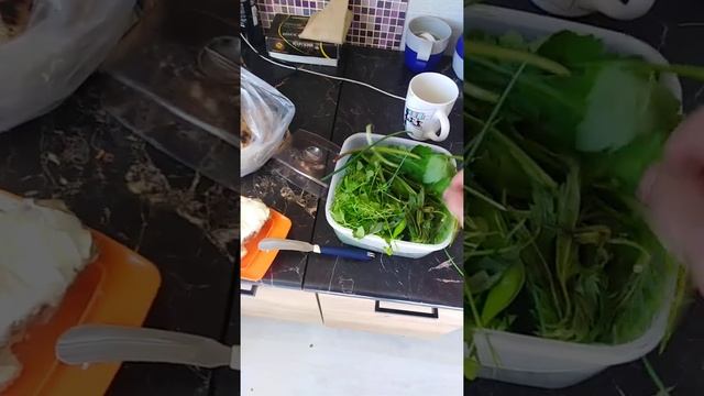 Гвозди Садху. Энергия. смотреть онлайн