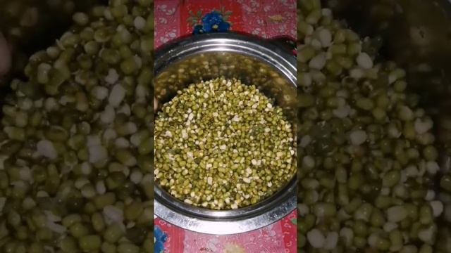 u know monggo soup is the best soup in the Philippines🇵🇭specially lots of vegetables and leaves🍀☘️🌱