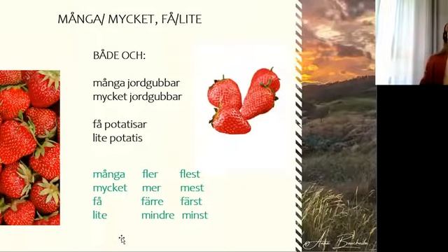 Шведский язык: MÅNGA / MYCKET, FÅ / LITE (Отрывок из курса для начинающих "Шведский по полочкам") смотреть онлайн