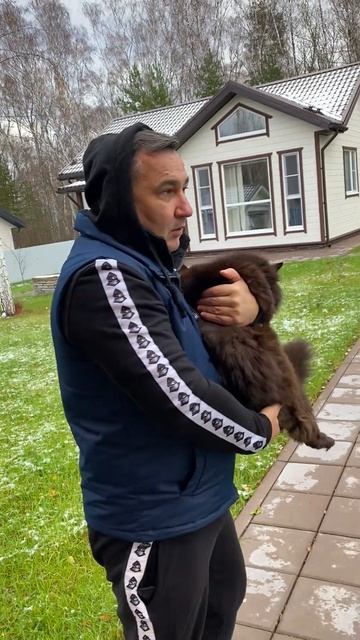 Подогрев двигателя смотреть онлайн