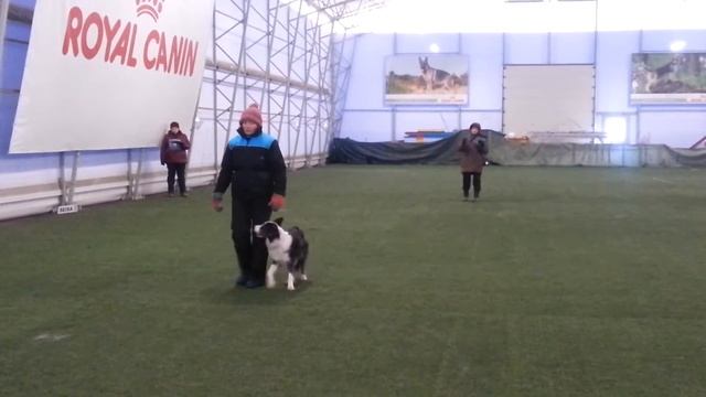 9.01.2016 Болти смотреть онлайн
