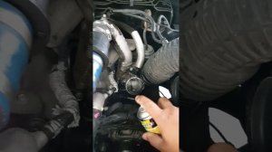 Wynn Turbo Cleaner