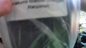 вымываем дом перед пасхой, много дел🤗