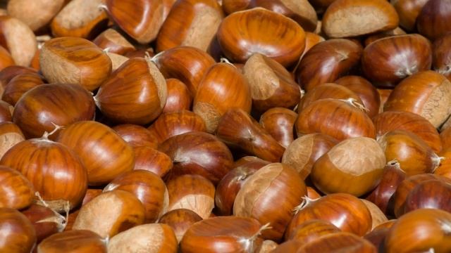 Rüyada Kestane Görmek, Toplamak, Yemek | Rüya Yorumları смотреть онлайн