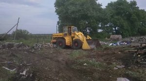 Сталева воля